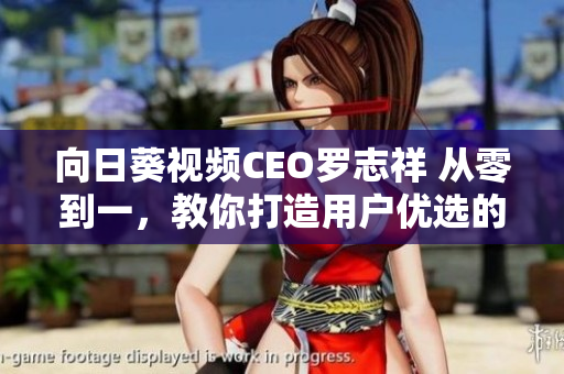 向日葵视频CEO罗志祥 从零到一，教你打造用户优选的网络软件