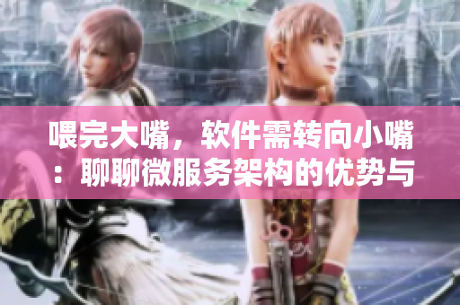 喂完大嘴，软件需转向小嘴：聊聊微服务架构的优势与实践