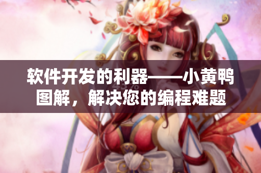 软件开发的利器——小黄鸭图解，解决您的编程难题