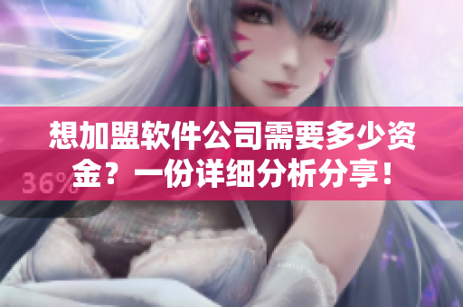 想加盟软件公司需要多少资金？一份详细分析分享！
