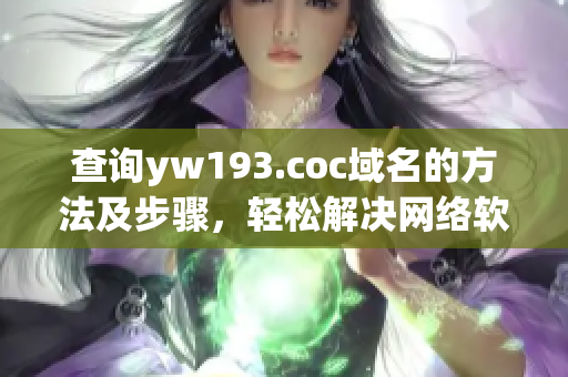 查询yw193.coc域名的方法及步骤，轻松解决网络软件相关难题