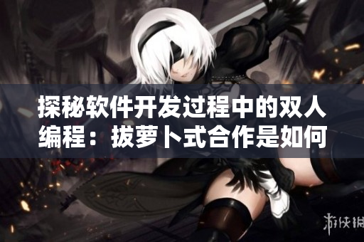 探秘软件开发过程中的双人编程：拔萝卜式合作是如何实现的？