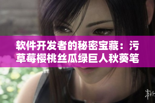 软件开发者的秘密宝藏：污草莓樱桃丝瓜绿巨人秋葵笔趣阁