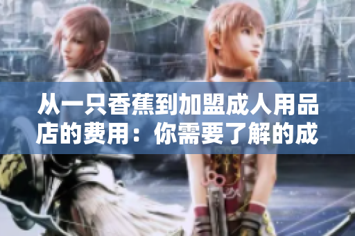 从一只香蕉到加盟成人用品店的费用：你需要了解的成本和实际投入