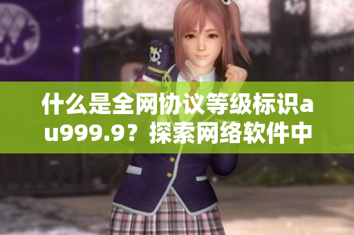 什么是全网协议等级标识au999.9？探索网络软件中的高级加密技术