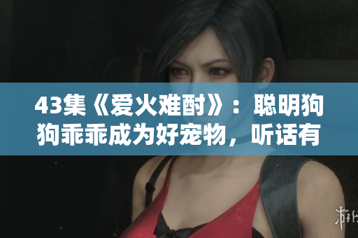 43集《爱火难酎》：聪明狗狗乖乖成为好宠物，听话有享受