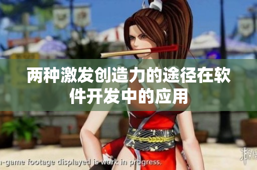 两种激发创造力的途径在软件开发中的应用