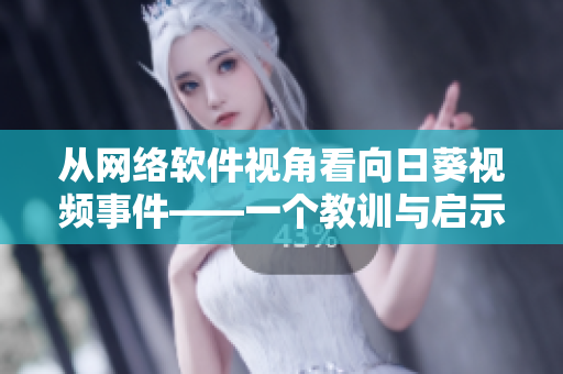 从网络软件视角看向日葵视频事件——一个教训与启示