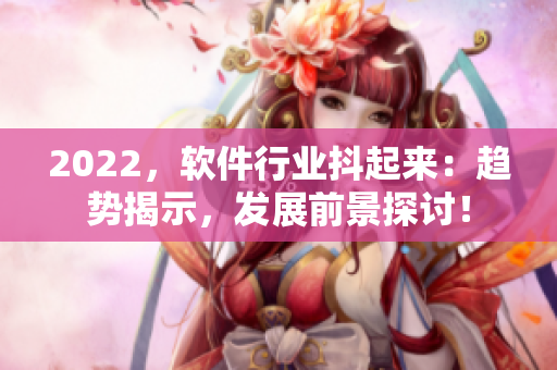 2022，软件行业抖起来：趋势揭示，发展前景探讨！