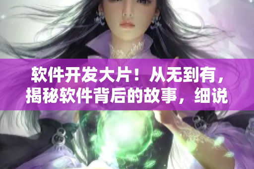 软件开发大片！从无到有，揭秘软件背后的故事，细说代码世界里的人情冷暖