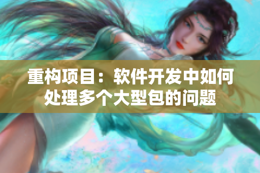 重构项目：软件开发中如何处理多个大型包的问题