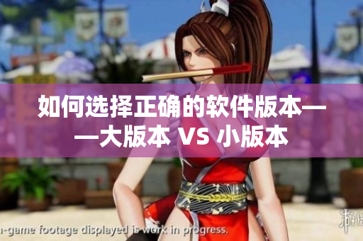 如何选择正确的软件版本——大版本 VS 小版本