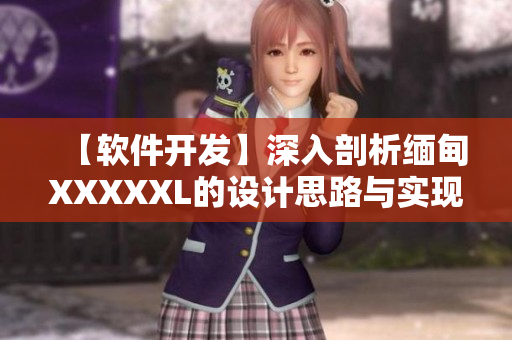 【软件开发】深入剖析缅甸XXXXXL的设计思路与实现细节