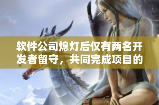 软件公司熄灯后仅有两名开发者留守，共同完成项目的故事