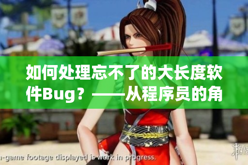 如何处理忘不了的大长度软件Bug？——从程序员的角度出发思考