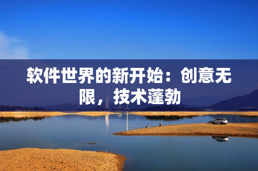 软件世界的新开始：创意无限，技术蓬勃