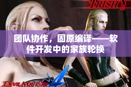 团队协作，固原编译——软件开发中的家族轮换
