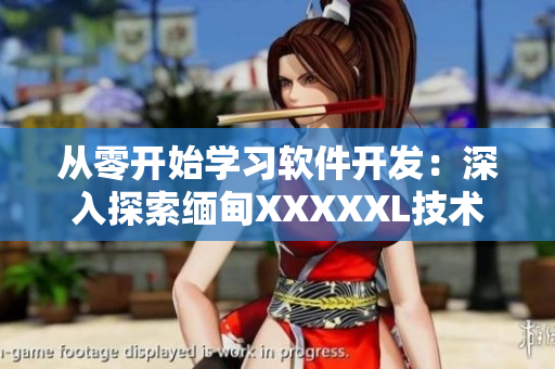 从零开始学习软件开发：深入探索缅甸XXXXXL技术