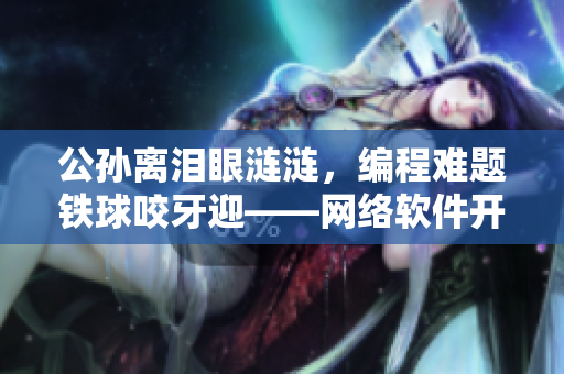 公孙离泪眼涟涟，编程难题铁球咬牙迎——网络软件开发遇到的挑战