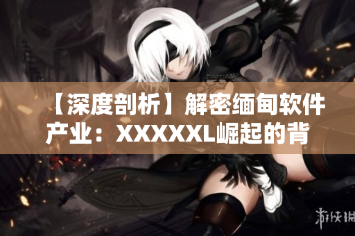 【深度剖析】解密缅甸软件产业：XXXXXL崛起的背后