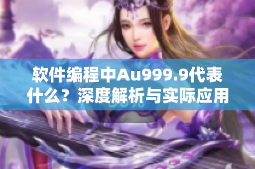 软件编程中Au999.9代表什么？深度解析与实际应用