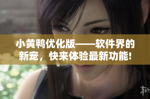 小黄鸭优化版——软件界的新宠，快来体验最新功能!
