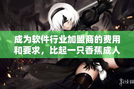 成为软件行业加盟商的费用和要求，比起一只香蕉成人用品店如何？