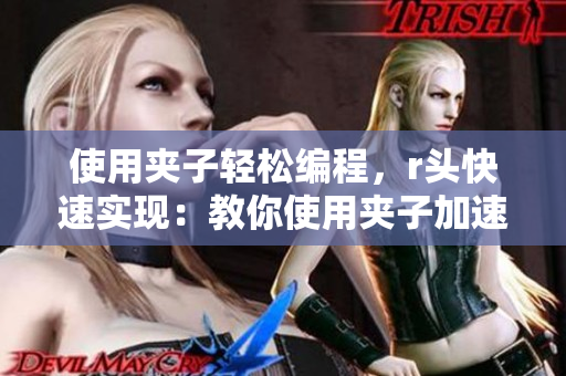 使用夹子轻松编程，r头快速实现：教你使用夹子加速网络软件开发