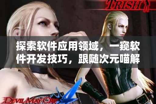 探索软件应用领域，一窥软件开发技巧，跟随次元喵解锁软件世界