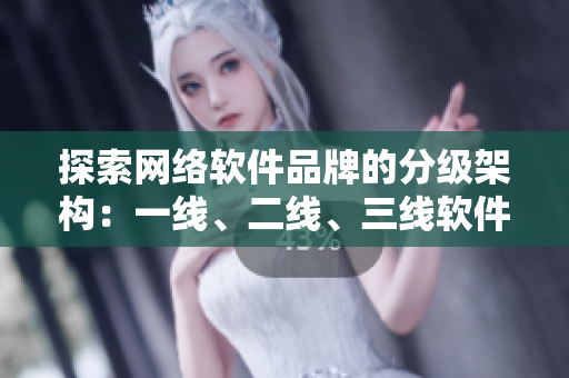 探索网络软件品牌的分级架构：一线、二线、三线软件品牌介绍