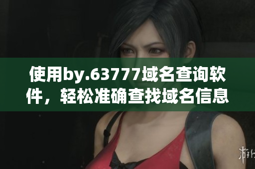 使用by.63777域名查询软件，轻松准确查找域名信息