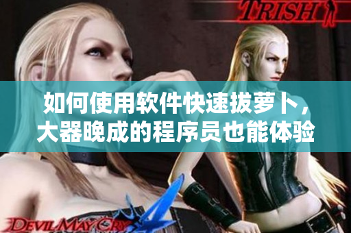 如何使用软件快速拔萝卜，大器晚成的程序员也能体验二人世界