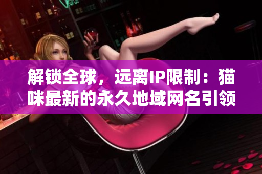 解锁全球，远离IP限制：猫咪最新的永久地域网名引领软件VPN新时代