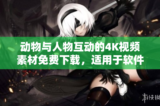 动物与人物互动的4K视频素材免费下载，适用于软件设计与展示