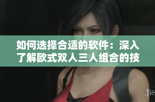 如何选择合适的软件：深入了解欧式双人三人组合的技术特点