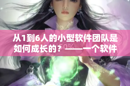 从1到6人的小型软件团队是如何成长的？——一个软件开发者的故事