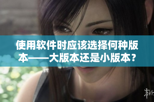 使用软件时应该选择何种版本——大版本还是小版本？