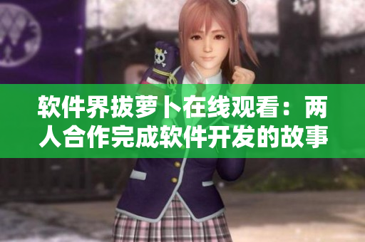 软件界拔萝卜在线观看：两人合作完成软件开发的故事