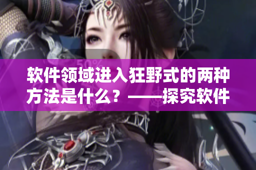 软件领域进入狂野式的两种方法是什么？——探究软件开发中的野路子