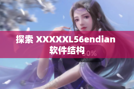 探索 XXXXXL56endian 软件结构