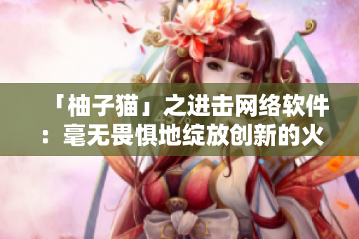 「柚子猫」之进击网络软件：毫无畏惧地绽放创新的火花！