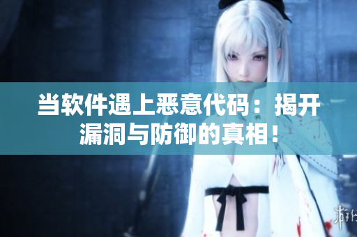 当软件遇上恶意代码：揭开漏洞与防御的真相！