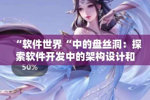 “软件世界“中的盘丝洞：探索软件开发中的架构设计和优化方案”