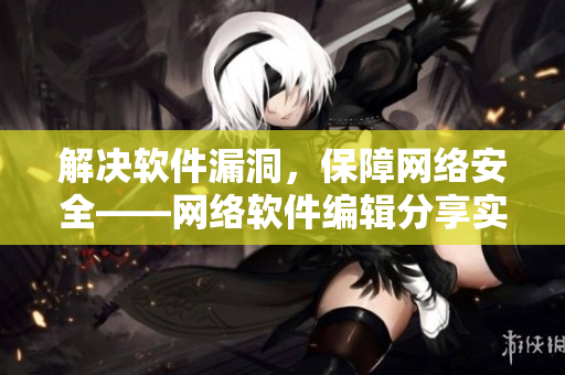 解决软件漏洞，保障网络安全——网络软件编辑分享实用技巧