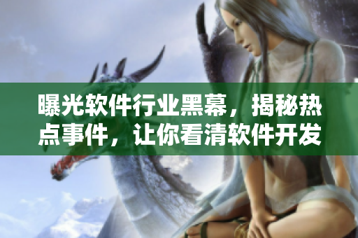 曝光软件行业黑幕，揭秘热点事件，让你看清软件开发的内幕