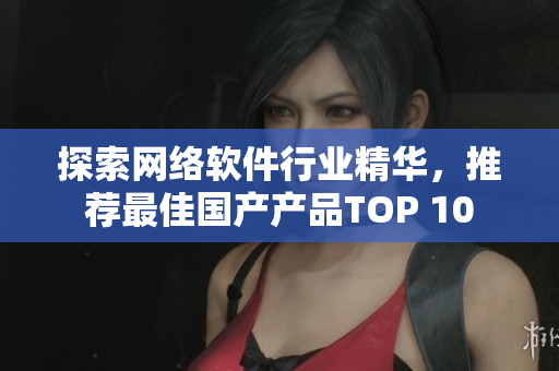 探索网络软件行业精华，推荐最佳国产产品TOP 10