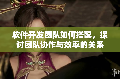 软件开发团队如何搭配，探讨团队协作与效率的关系