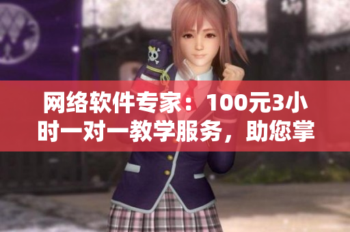 网络软件专家：100元3小时一对一教学服务，助您掌握软件开发技能！