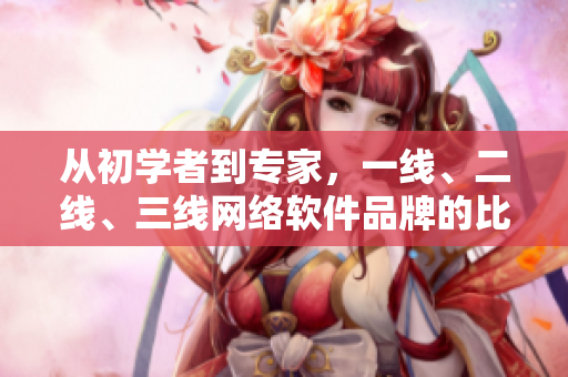 从初学者到专家，一线、二线、三线网络软件品牌的比较与选择