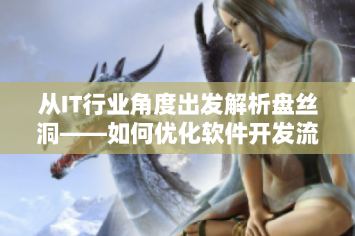 从IT行业角度出发解析盘丝洞——如何优化软件开发流程